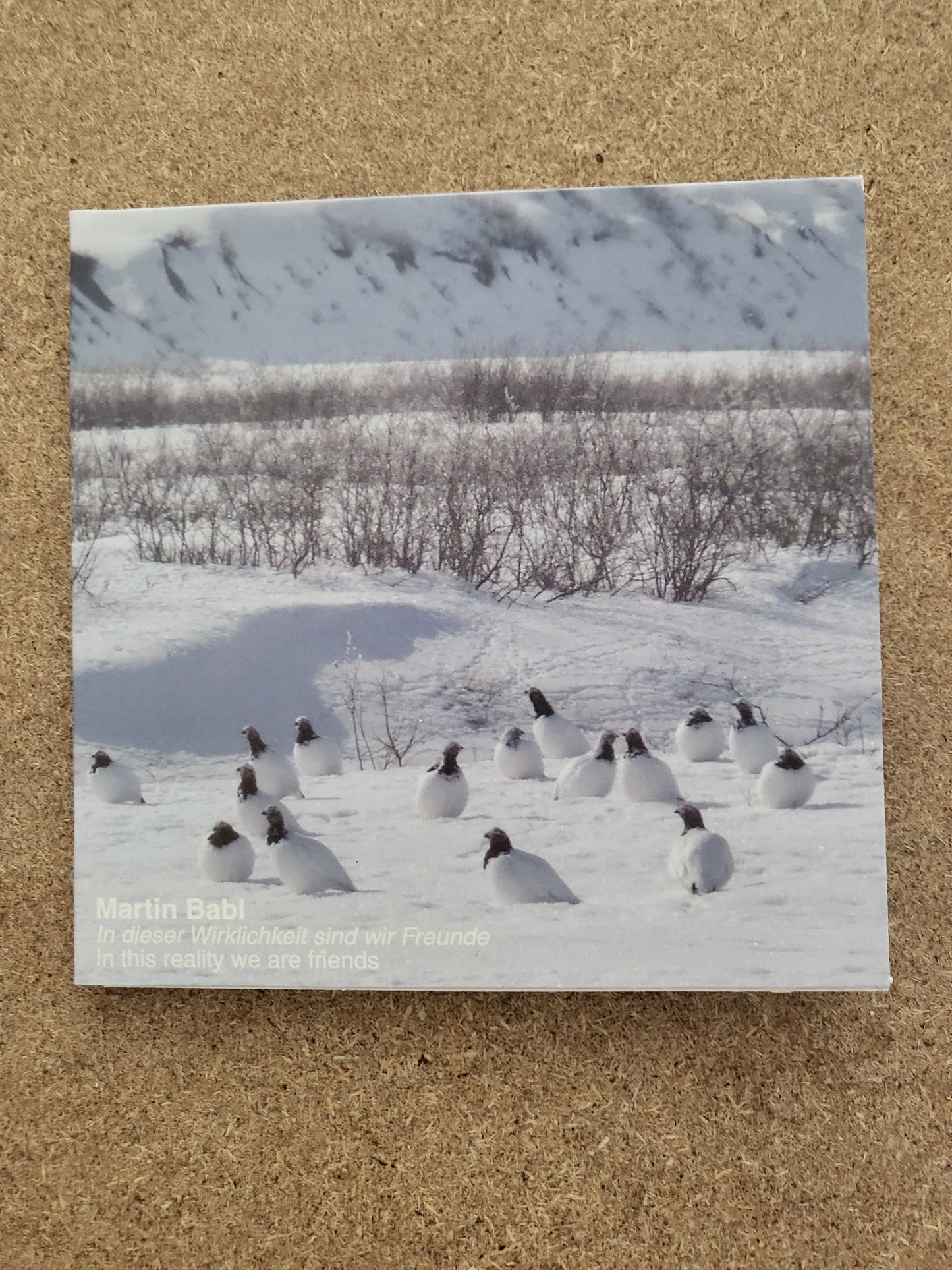 Babl, Martin - In This Reality We Are Friends CD