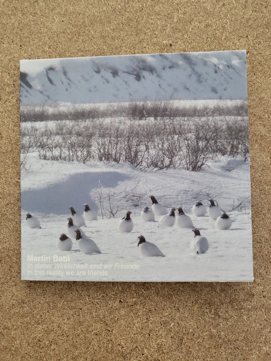 Babl, Martin - In This Reality We Are Friends CD