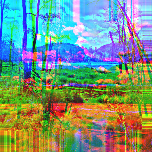 Winnipesaukee - The New Vermont Sound