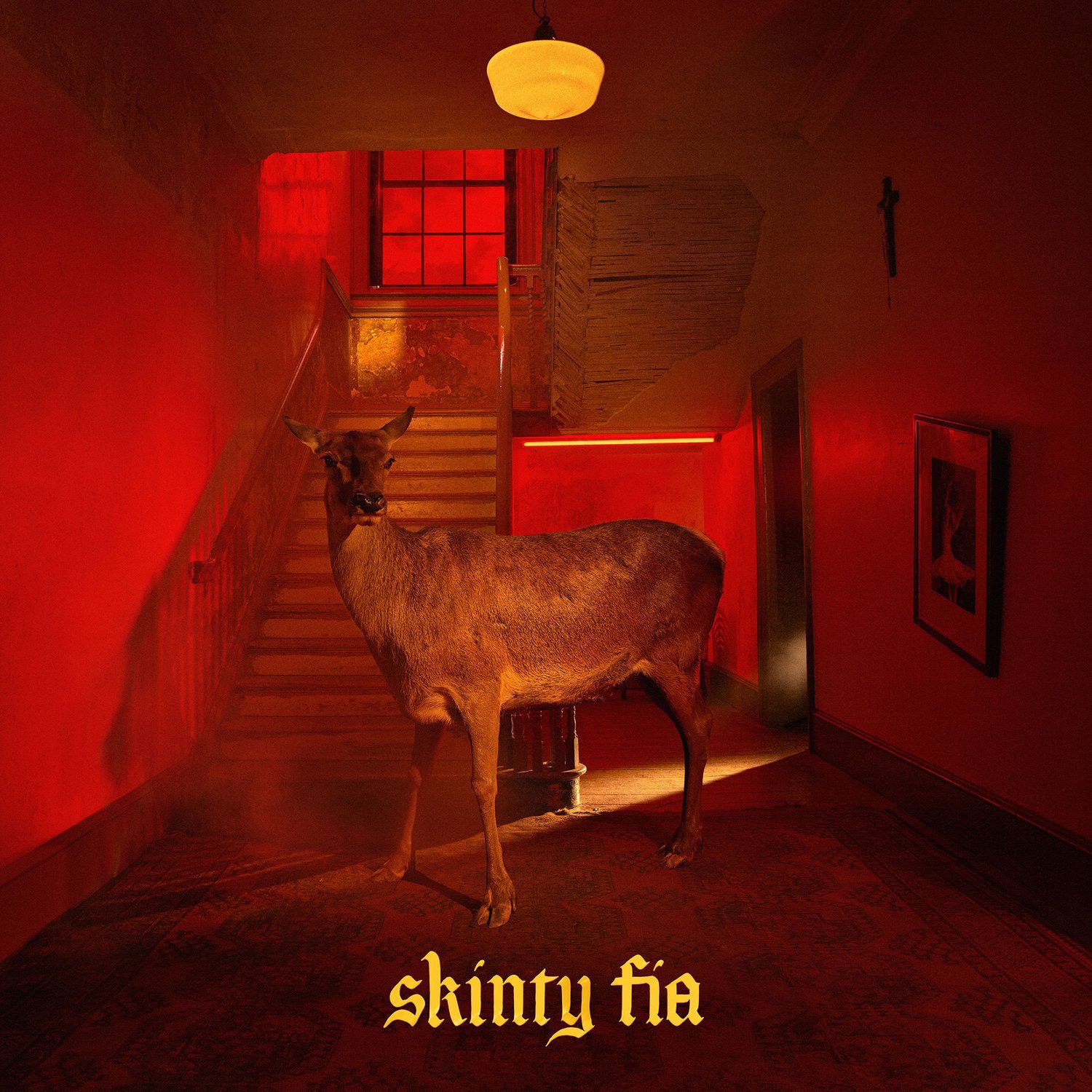 Fontaines Dc Skinty Fia Fontaines D C Skinty Fia Red LP Vinyl May fontaines-dc-skinty-fia-fontaines-d-c-skinty-fia-red-lp-vinyl-may