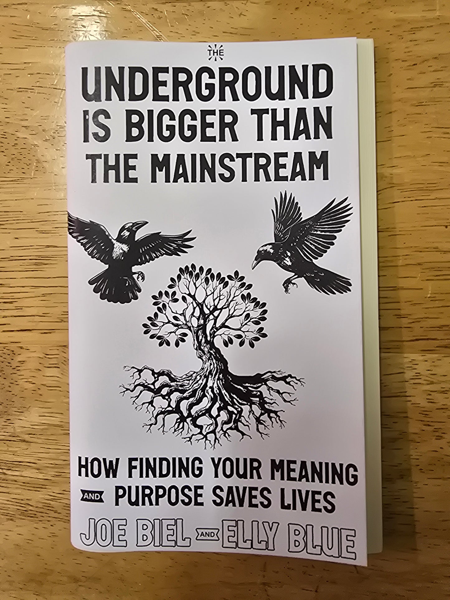 Biel, Joe / Blue, Elly - The Underground Is Bigger than the Mainstream: How Finding Your Meaning and Purpose Saves Lives