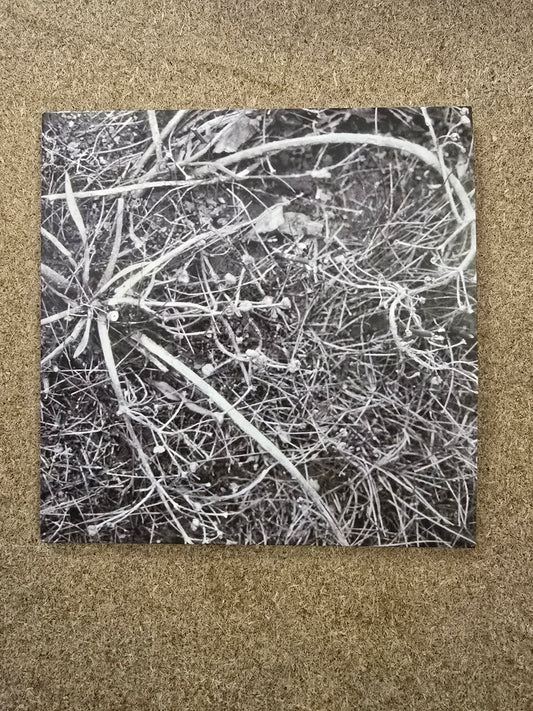 Babl, Martin - Chalklands CD