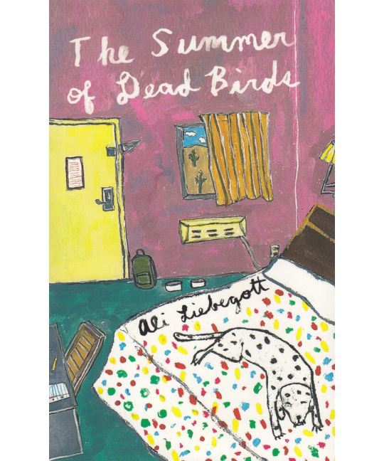 Liebegott, Ali - The Summer of Dead Birds