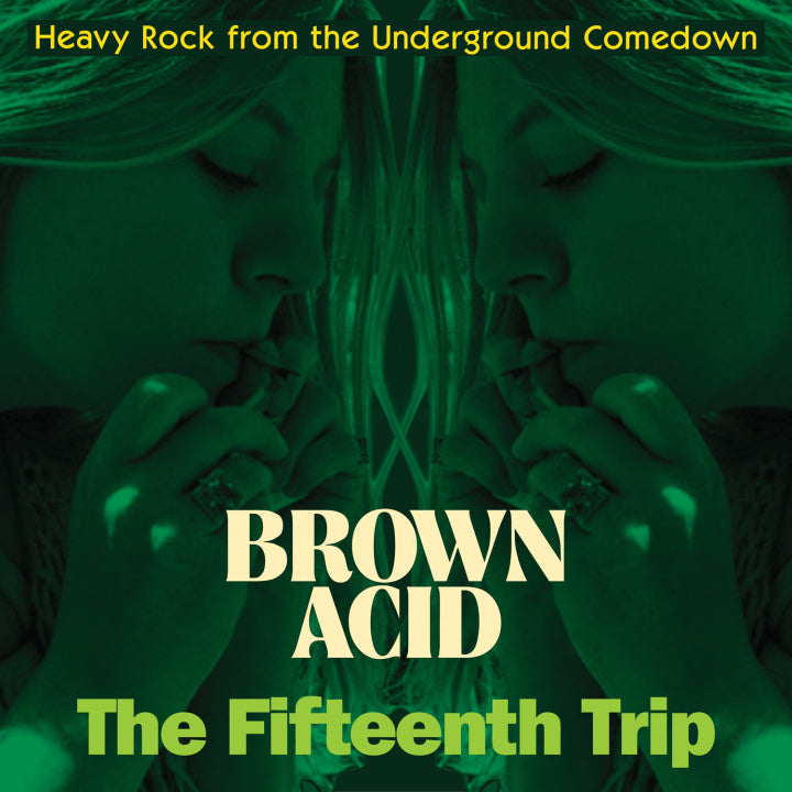 Various - Brown Acid: The Fifteenth Trip