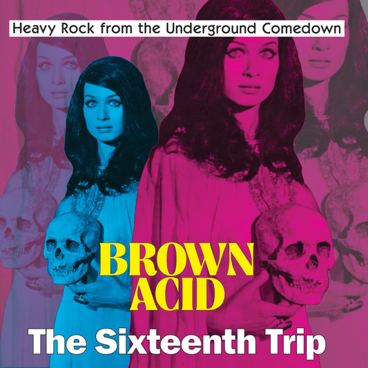 Various - Brown Acid: The Sixteenth Trip