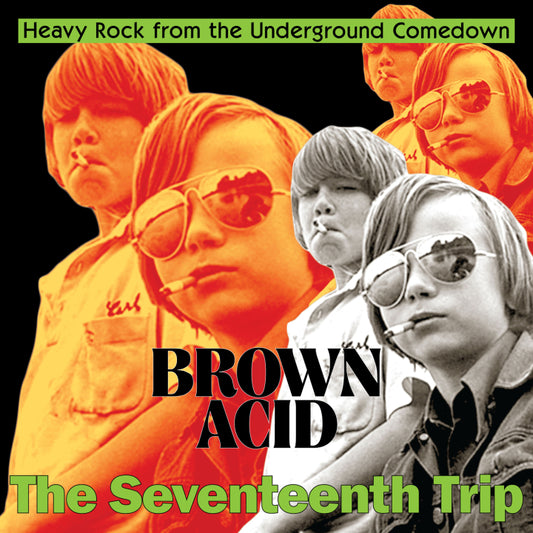Various - Brown Acid: The Seventeenth Trip