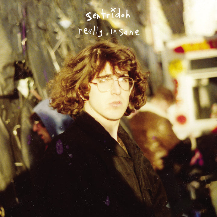 Sentridoh - Really Insane: A Lou Barlow Compendium