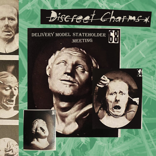 Discreet Charms - Delivery Model Stateholder Meeting