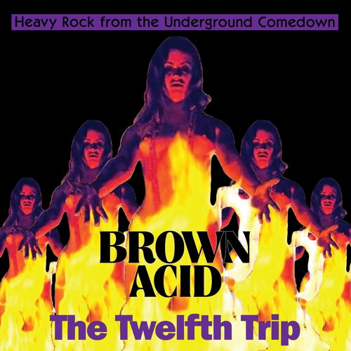 Various - Brown Acid: The Twelfth Trip