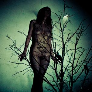 Atlas Moth - An Ache For The Distance
