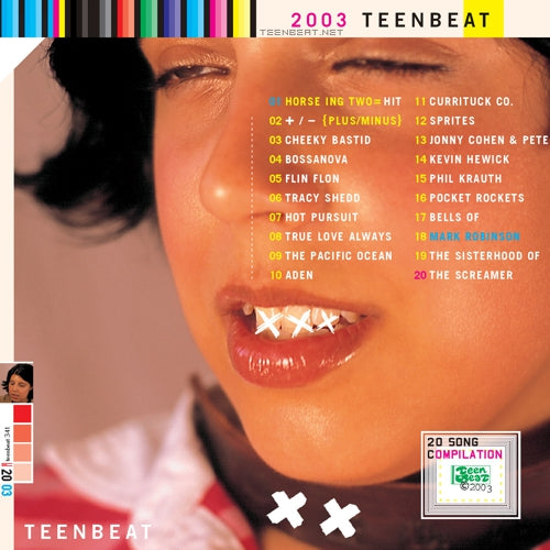 Various - Teenbeat Sampler 2003