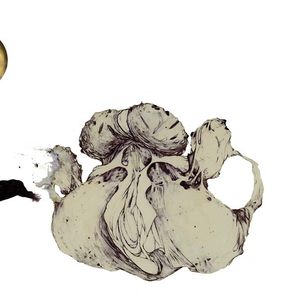 Coil - The Ape Of Naples