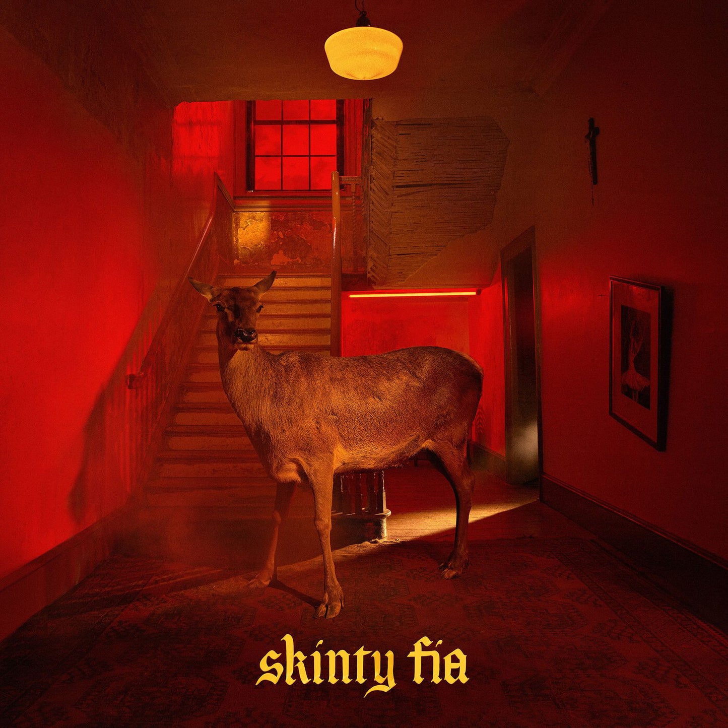 Fontaines D.C. - Skinty Fia 2xLP