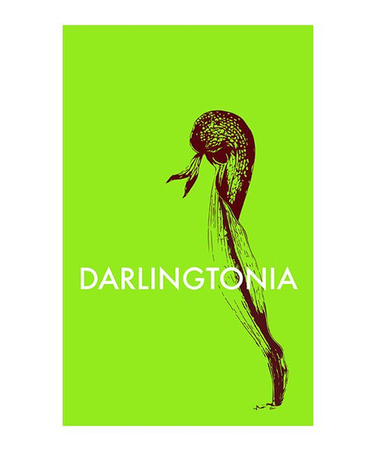 Roja, Alba - Darlingtonia