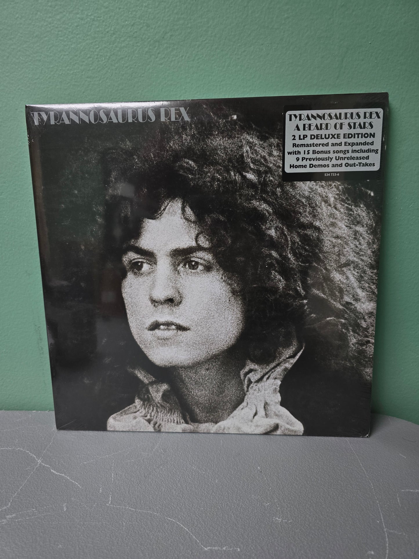 Tyrannosaurus Rex - A Beard Of Stars