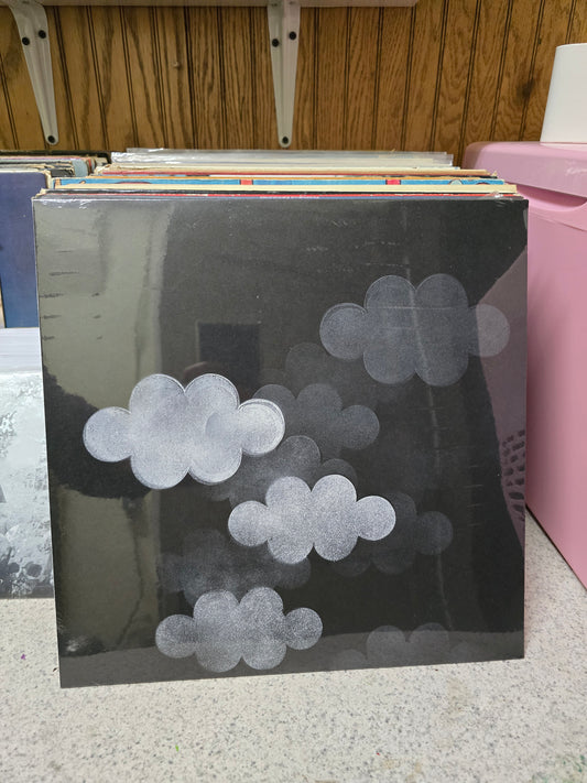 Princess Dragon-Mom - JL Hudsons Demolition Project 1998