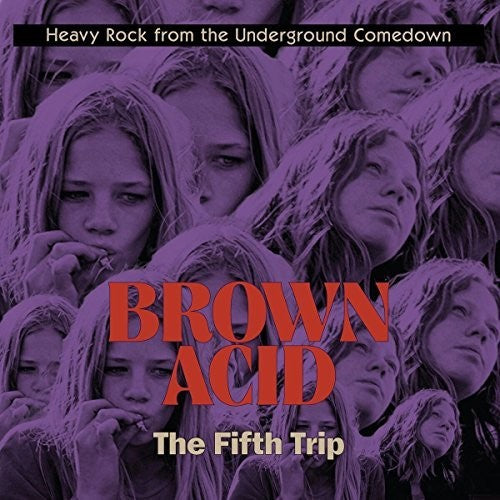 Various - Brown Acid: The Fifth Trip