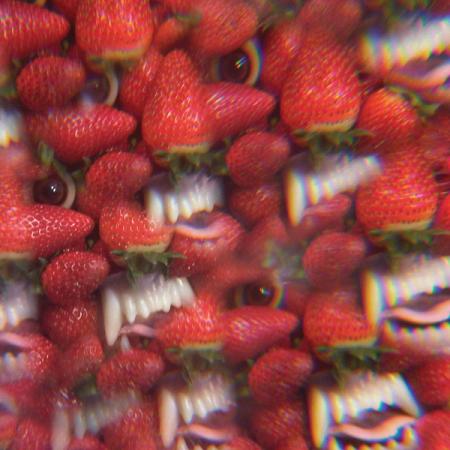 Oh Sees - Floating Coffin