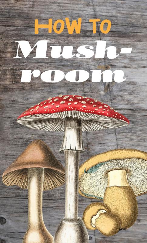 Bureau Of Mushroom Industry - How To Mushroom